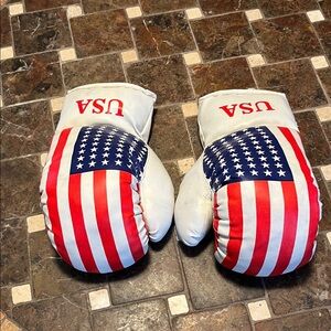 USA Flag Boxing Gloves